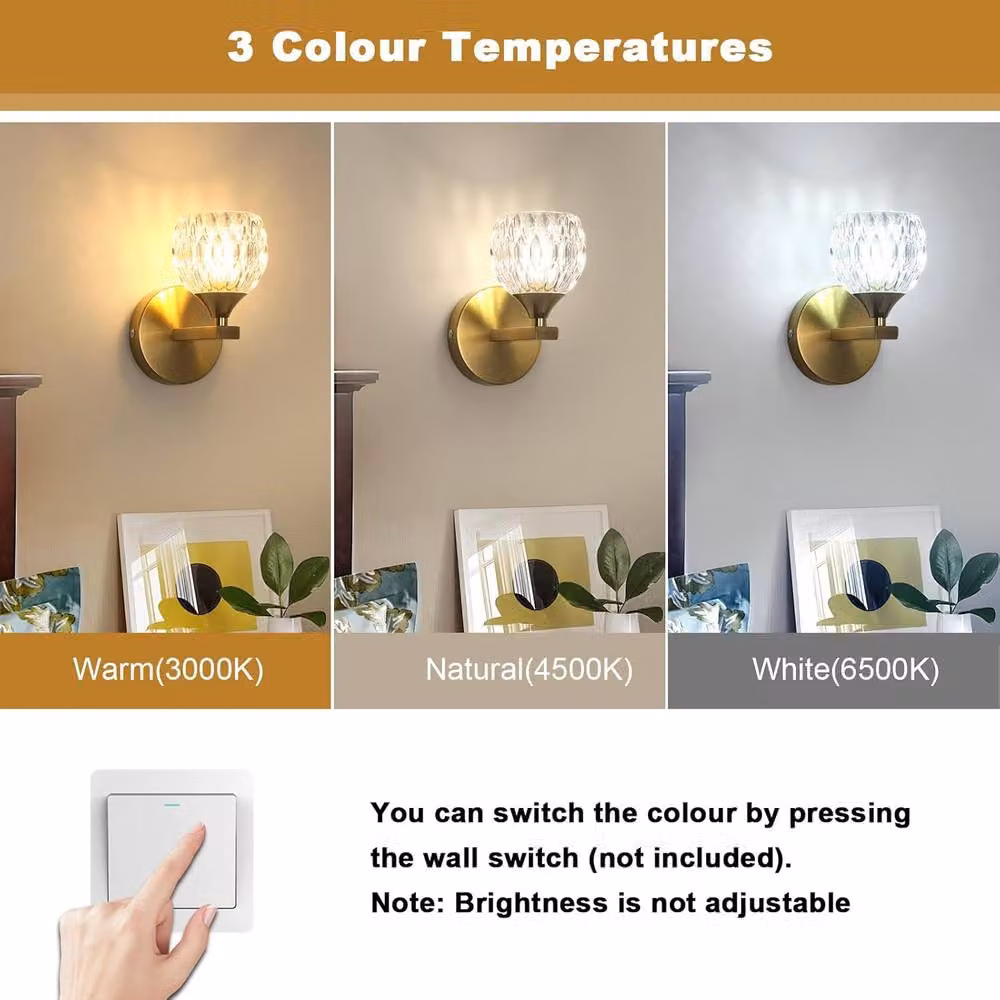 Pheashine Elegant Gold Wall Light with Transparent Glass Shade, G9 7W, W/D/H: 15 x 12 x 19 cm – 2