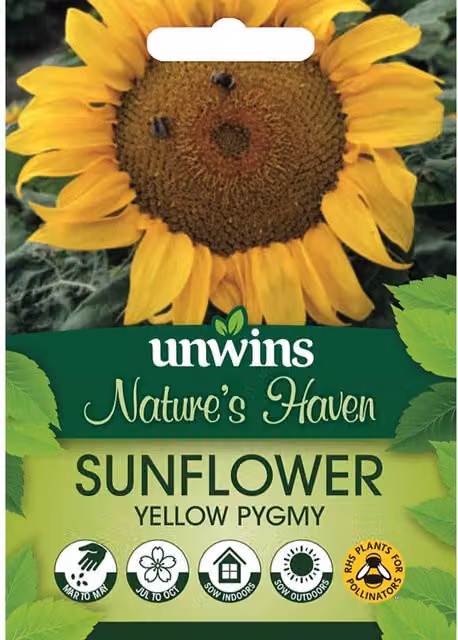 Marshalls Garden Yellow Pygmy Dwarf Sunflower Seeds, Pack of 20