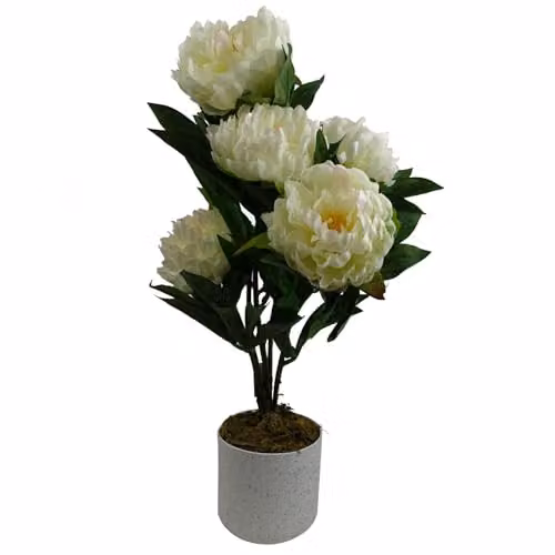 Leaf Design UK White Peony Artificial Potted Plant, Height: 55 cm – 1