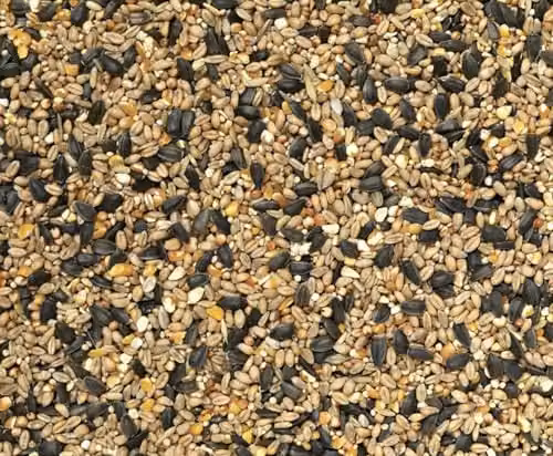 Johnston & Jeff Selected Wild Bird Food Wildlife Seed, 4kg, Multicolour – 2