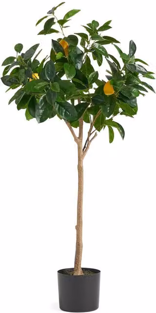 Botanik Leaf Design Artificial Lemon Tree in a Black Plastic Pot, Green, Height: 120 cm