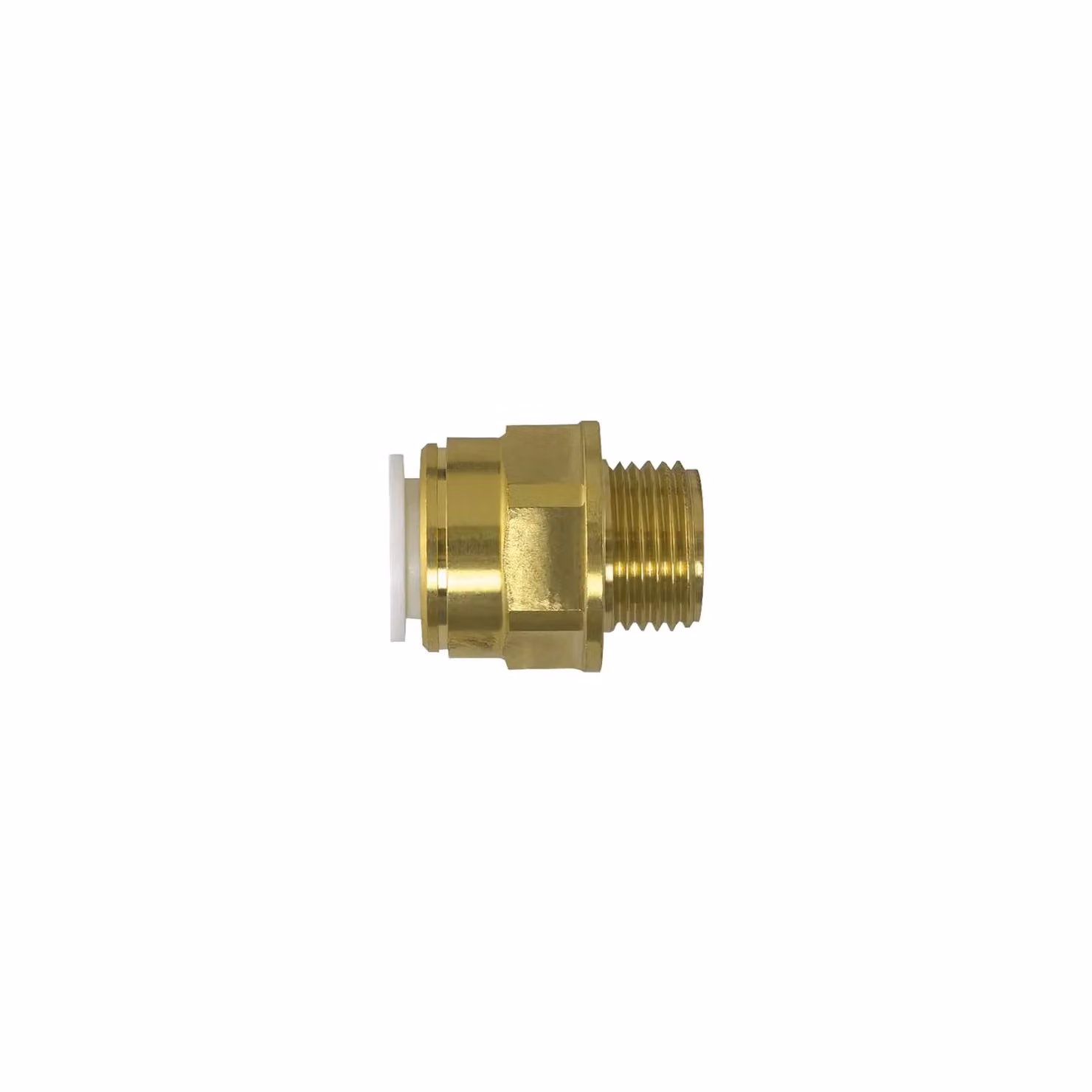 John Guest Brass Coupler 28mm x 1" Male BSPT in Gold – 2