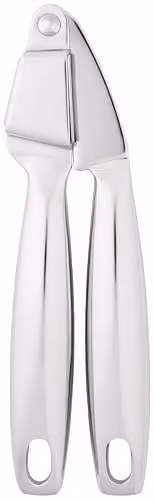Stellar Stainless Steel Garlic Press in Silver
