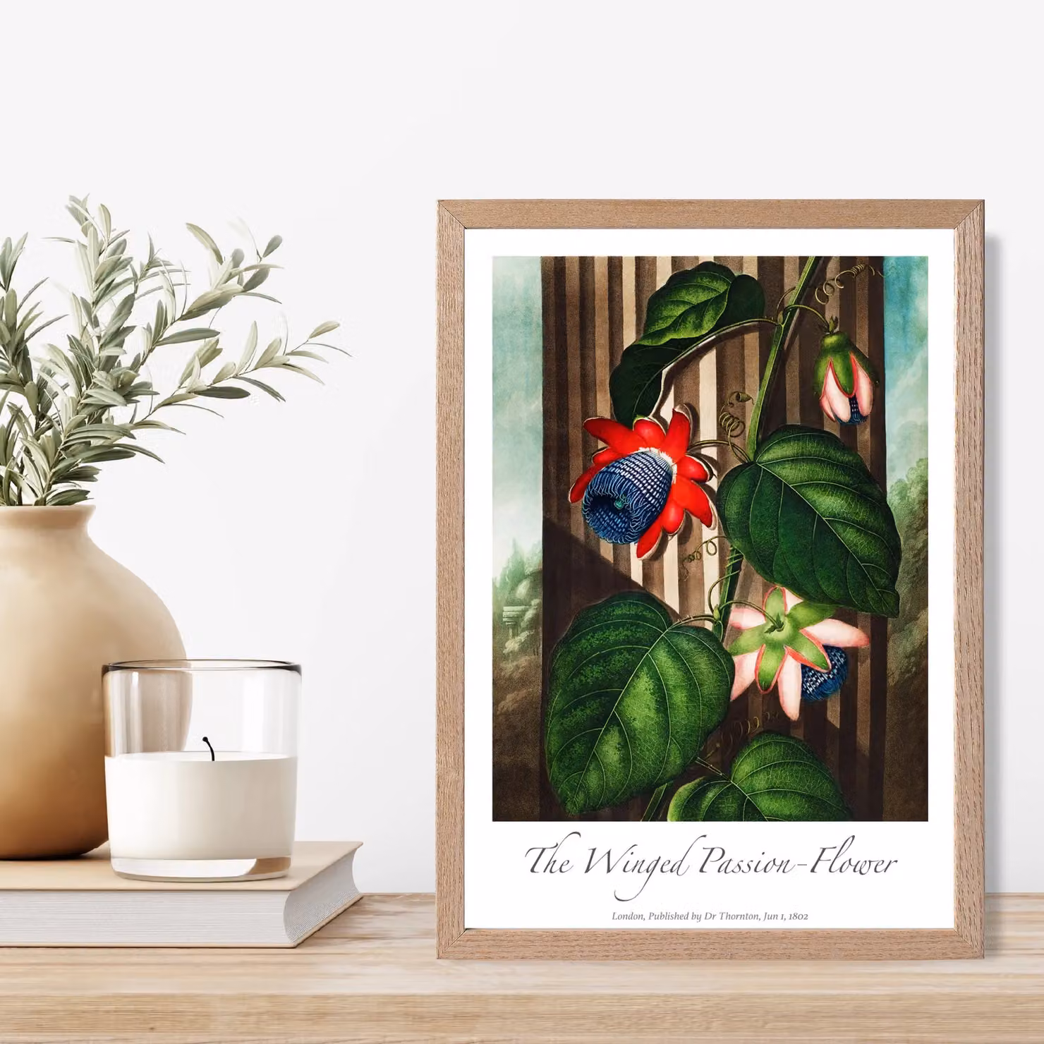 ARTZE Winged Passion Flower Vintage Floral Framed Print with Oak Frame in Red – 2
