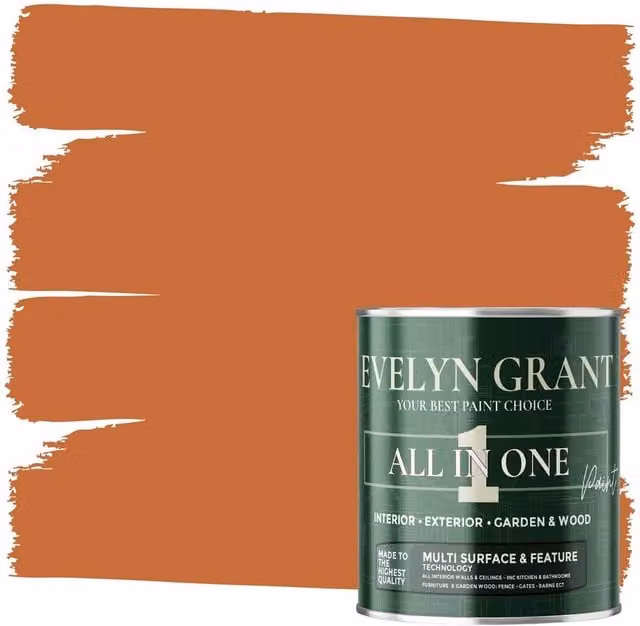 Evelyn Grant All-In-One Multi Surface Indoor and Outdoor Matt Dispersion Paint in Terracotta Tiles, 5 l