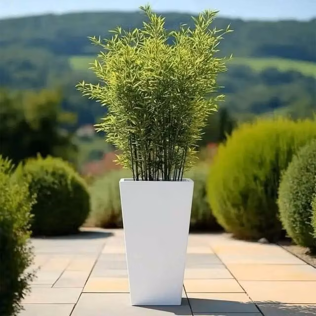 Access Garden Products Matte White Tall Tapered Square Galvanised Steel Planter, Height: 70 cm