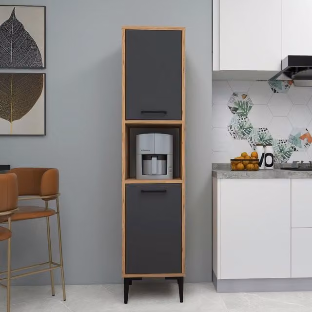 Destina Home Daminol Modern Kitchen Cabinet with Internal Shelves and Hinged Doors in Brown and Anthracite