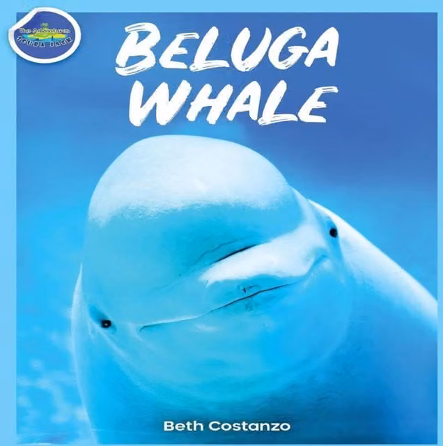 Beth Costanzo Beluga Whale Activity Workbook for Kids, Multicolour Paperback