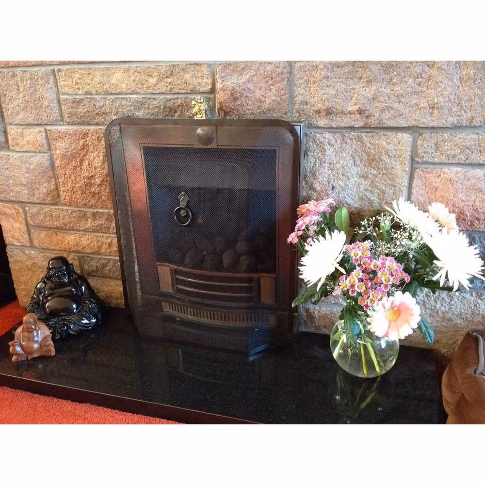 VOGREX Heavy Duty Black Fireplace Spark Guard Screen W/D/H: 53.0 x 61.5 x 9.5 cm – 4