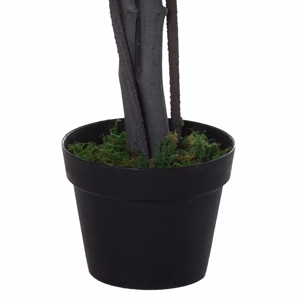 Wyld Haus Nito Artificial Banyan Style Tabletop Tree in a Light Green Decorative Pot – 4