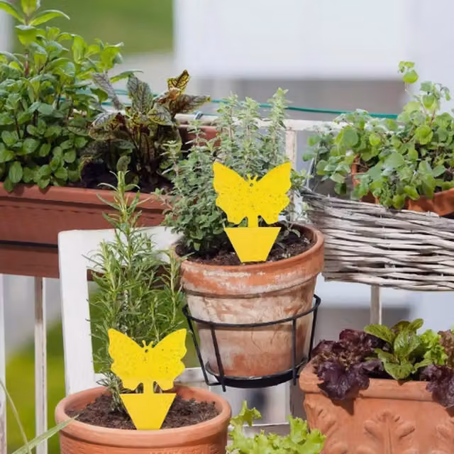 Garden Mile 41pc Yellow Fly Catcher Glue Traps for Pest Control