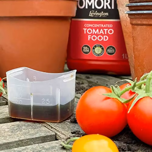 Levington Tomorite Liquid Tomato Food Plant Tonic, 1 l – 4