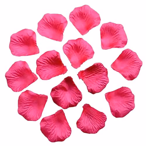 Shatchi 100pcs Pink Silk Rose Petal Confetti for Weddings, Anniversaries and Mother's Day Table Decorations – 1