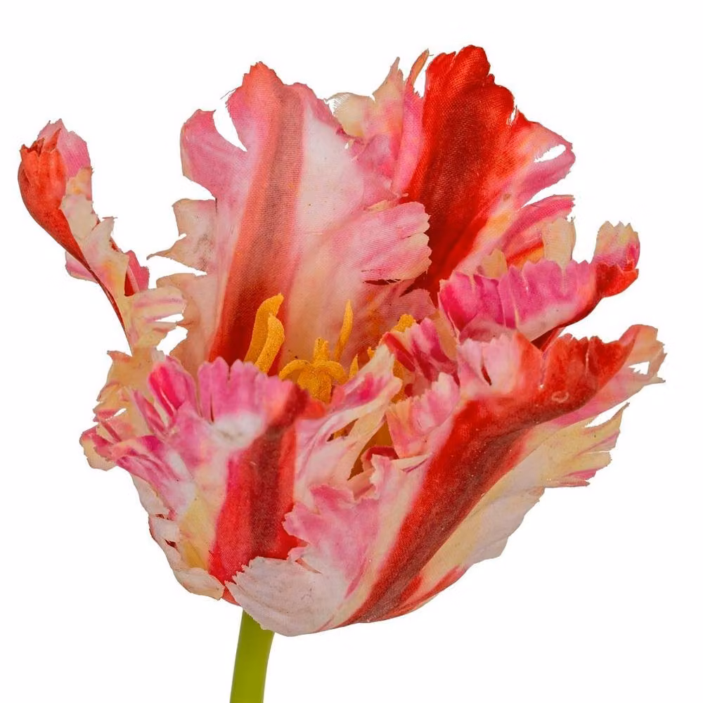 Lemon Pavilion Furniture and Decor Pink Parrot Tulip Artificial Flower, Green, H: 69 cm – 2