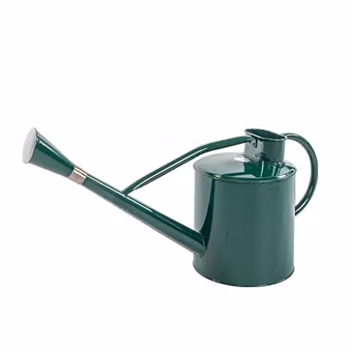 Kent & Stowe Classic Long Reach Galvanised Steel Watering Can with Rose Head, Green, 9L – 1
