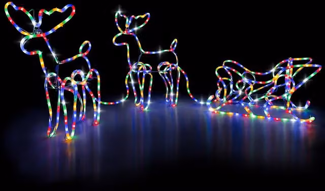 Christow Reindeer Sleigh 3D LED Rope Light Outdoor Christmas Decoration, Multicolour – 1