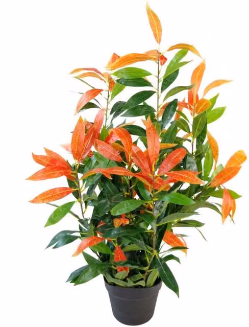 Leaf Design UK Realistic Red and Green Ficus Potted Tabletop Tree