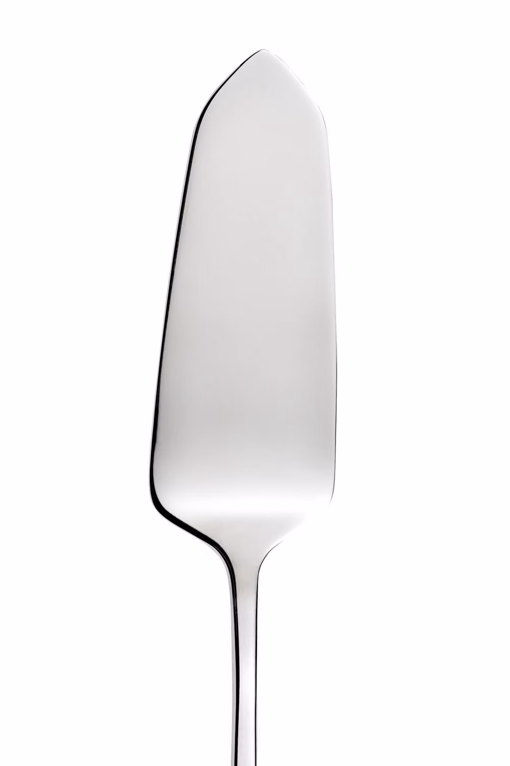 Arthur Price Morris & Co. Blackthorn Polished Stainless Steel Cake Lifter in Silver – 2
