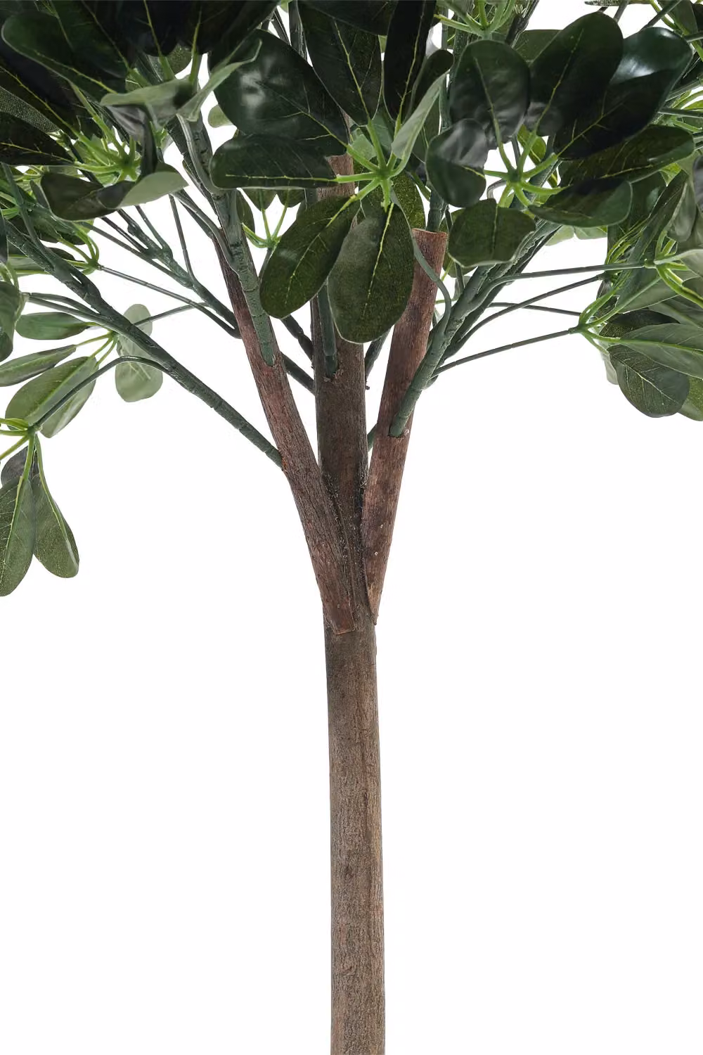 Living and Home Green Artificial Schefflera Arboricola Tree in Pot, Height: 122 cm – 4