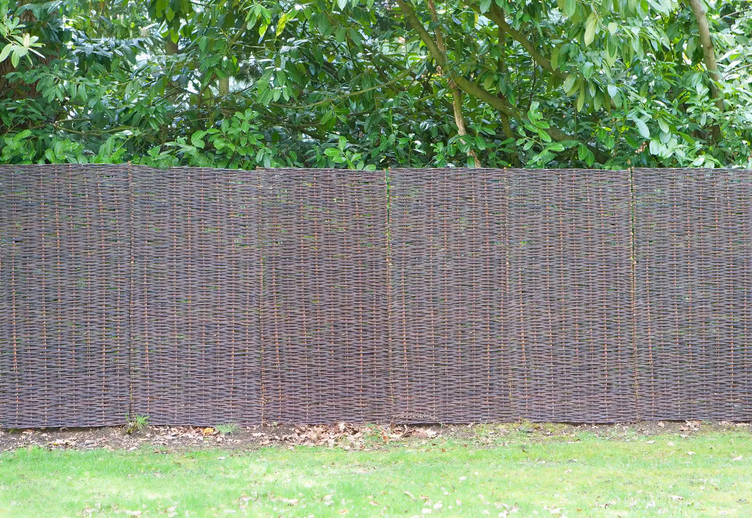Primrose Willow Woven Hurdle Screening Panel in Brown, H 182 cm x W 90 cm – 2