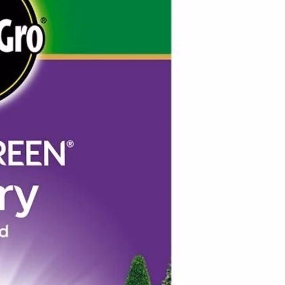 Miracle-Gro Luxury Ornamental Lawn Grass Seeds, 14 g – 2