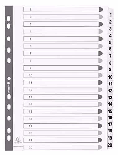 Exacompta Mylar Printed 20-Part Dividers for A4 Documents, 160gsm White Card with Reinforced Plastic Tabs, 1-20