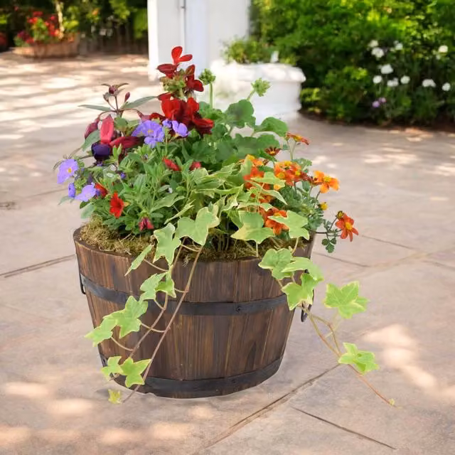 Plants by Post Multicolour Seasonal Bedding Plants in a Rustic Wooden Barrel Planter, Diameter: 30 cm