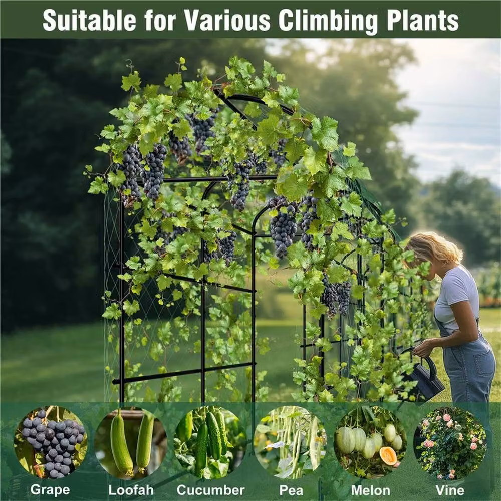 NESTLUNE Black Garden Tunnel Arch Trellis Support for Climbing Vegetables and Plants, W/D/H: 160 x 100 x 15 cm – 4