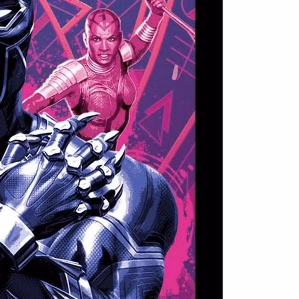 Black Panther Framed Paper Poster in Black and Dark Pink – 2