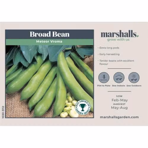 Unwins Meteor Vroma Broad Bean Vegetable Seeds – 4