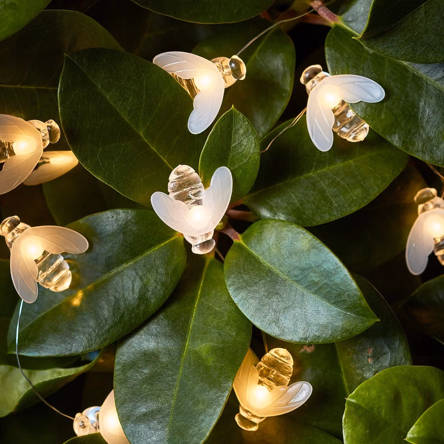 Lights4fun Honey Bumble Bee Battery String Fairy Lights with 20 Warm White Micro LEDs, Silver Wire, 2m Length – 1