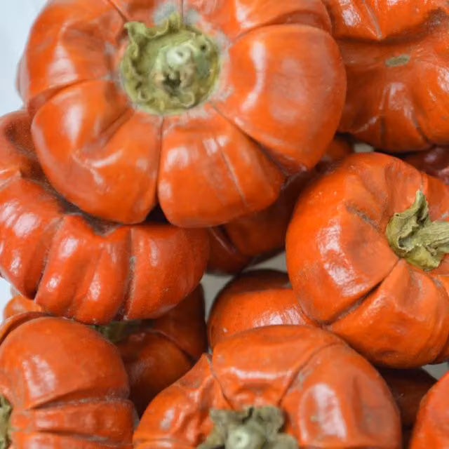 Natural Crafts Red Decorative Dried Mini Pumpkins, Pack of 20