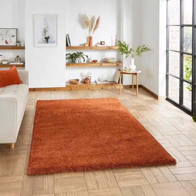Terrys Modern Rectangular Shaggy Rug in Orange Polypropylene