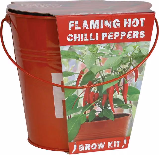Indoor Flavours Chilli Fire Bucket Red Metal Seed Growing Kit for Indoor Plants