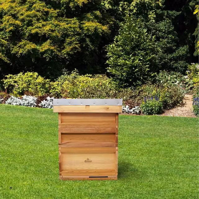 Actiasbee Cedar Bee Hive with 2 Supers and 1 Brood Box in Brown