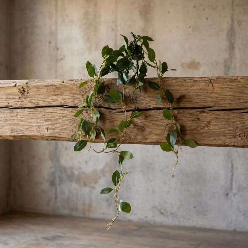 Leaf Premium Green Artificial Trailing Ficus Vine Stem, Height: 55 cm – 4