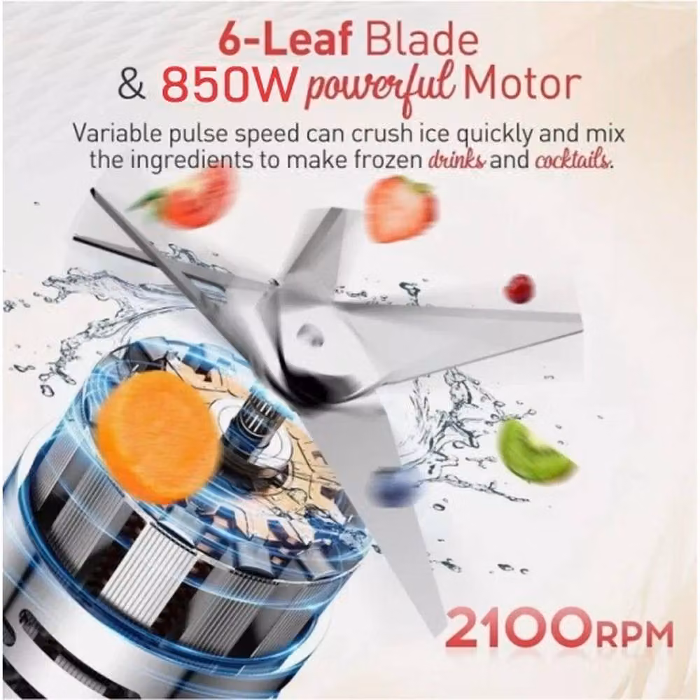 SPETLEK 2 in 1 Juicer Blender, Fruit Grinder and Smoothie Maker in Silver Stainless Steel – 4