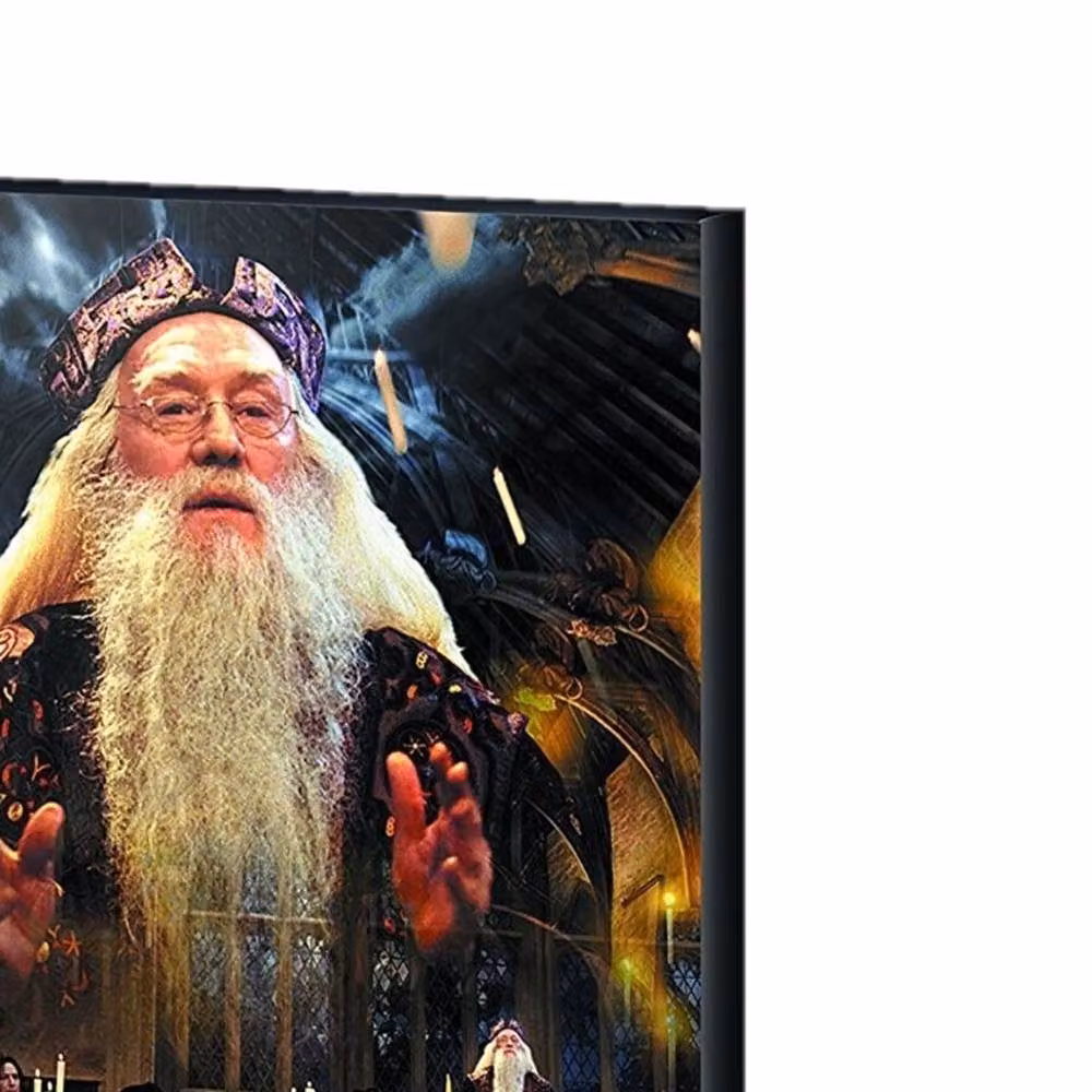 Harry Potter Dumbledore Multicolour Canvas Print in White – 2
