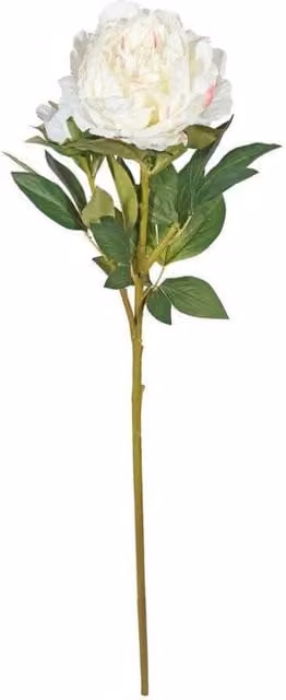KDMD Botanica Giant White Peony, Height: 91 cm