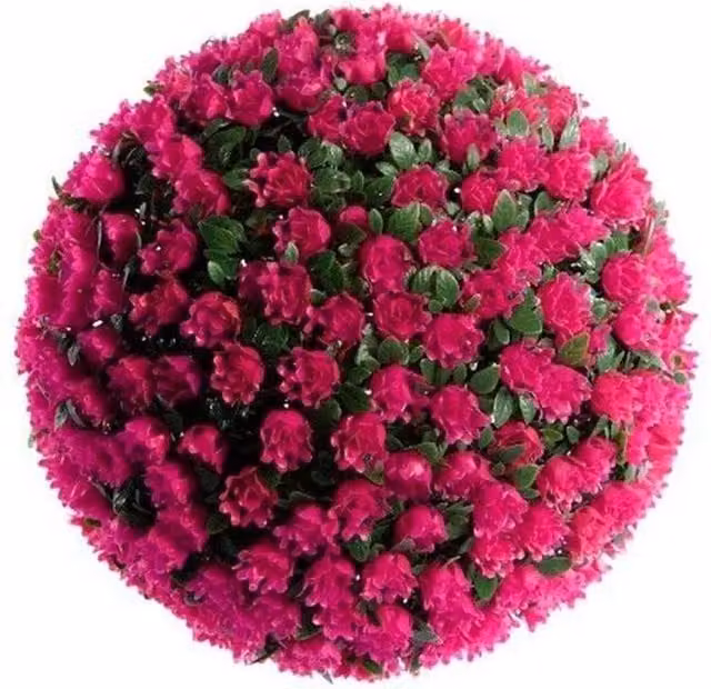 Hinsinc Hanging Artificial Rose Flower Ball in Red and Pink, Diameter: 28 cm – 1