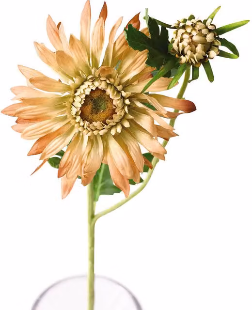 Bloom Orange Artificial Single Chrysanthemum Spray Flower Stem, Length: 72 cm