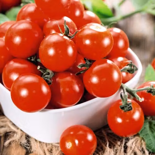 Thompson & Morgan Tomato Consuelo F1 Crimson Cherry Seeds, Blight-Resistant Early Cropping Variety – 3