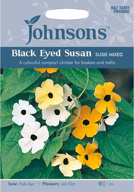 Johnsons Mixed Black Eyed Susan Susie Flower Seeds, Multicolour
