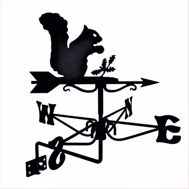 Buttercup Farm Mini Squirrel Weathervane in Black Steel, W38 x D38 x H49 cm