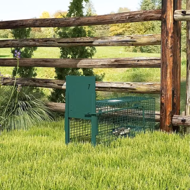 Outsunny Metal Humane Rat Trap with Single Door, Dark Green