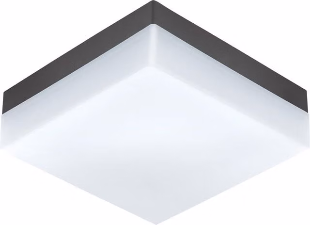 Loops Anthracite IP44 Outdoor LED Wall Light with RGB Colour Options