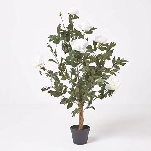 Homescapes Artificial Peony Tree in Black Pot, Cream, Height: 100 cm