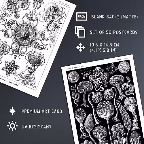 Artery8 Botanical Aesthetic Haeckel Nature Collage Kit, 50 Black and White Wall Art Prints, W: 14.8 cm, H: 10.5 cm – 4