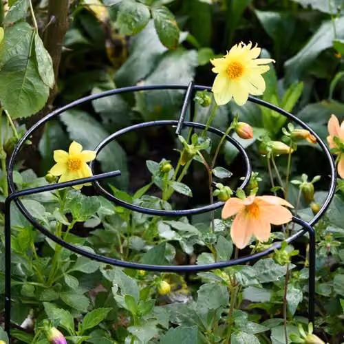 Garden Gear Double Round Grow Through Grid Ring Plant Support, Height: 60 cm, W/D/H: 40 x 40 x 60 cm, Pack of 3 – 4