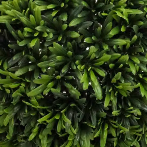 Leaf UK Botanik Green Artificial Thyme Topiary Ball, Diameter: 45 cm – 6